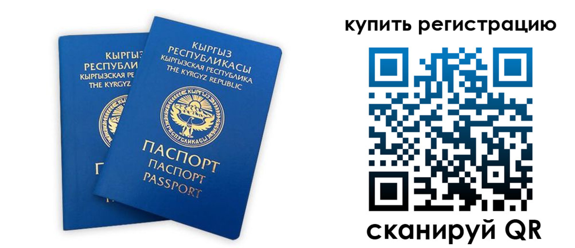 прописка от собственника в Александровске